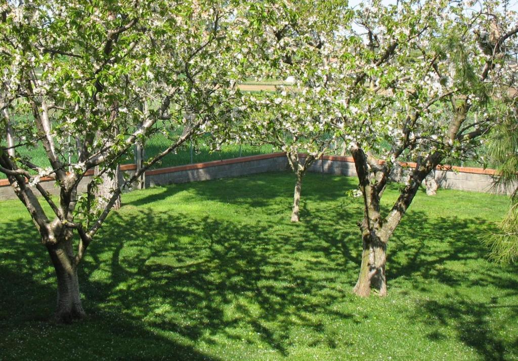 Bed & Breakfast Bompadre Civitanova Marche Exterior photo